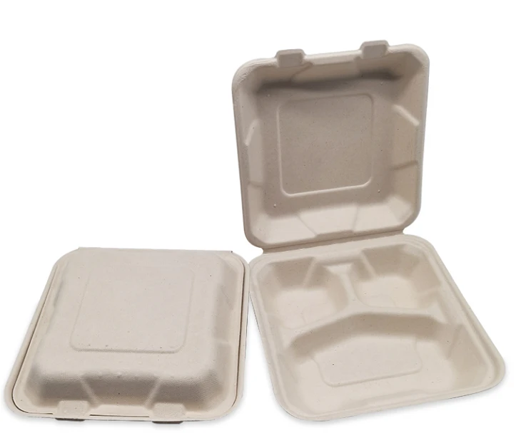 disposable lunch boxes