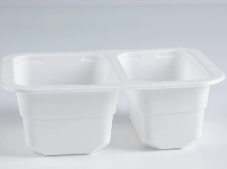 tray for food
