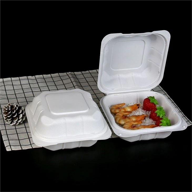 15,2 x 15,2 cm rempli de minéraux Hamburger sandwich articulé à emporter conteneurs à emporter boîtes