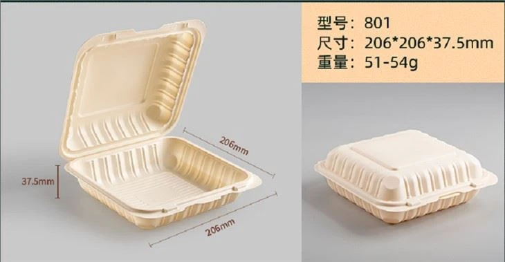 8x8 pouces articulé à emporter Jetable Récipient alimentaire Boîte d’emballage Biodégrable