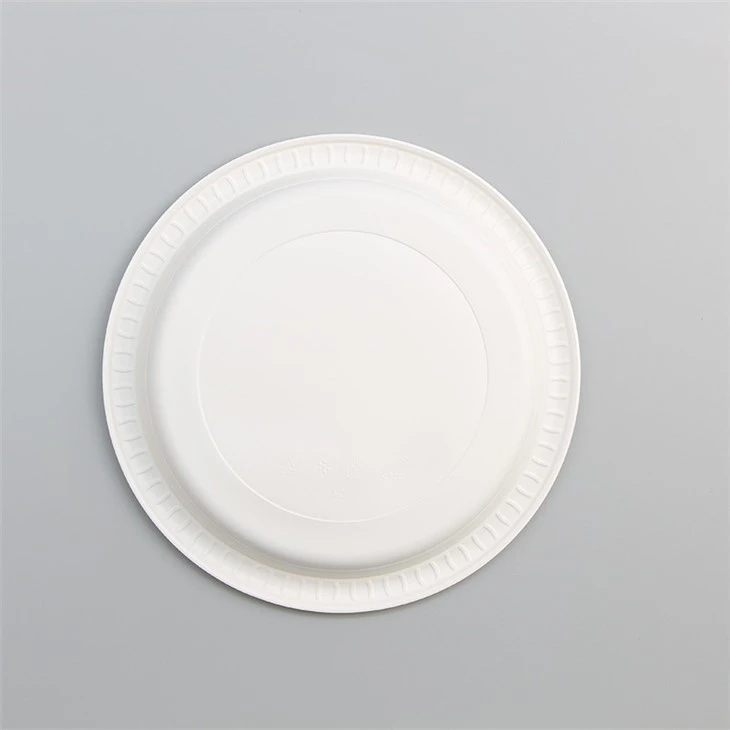 Disposable Plastic Plates