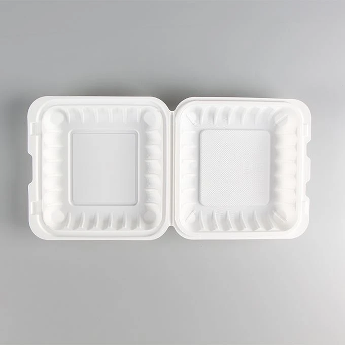 Boîte à lunch en plastique