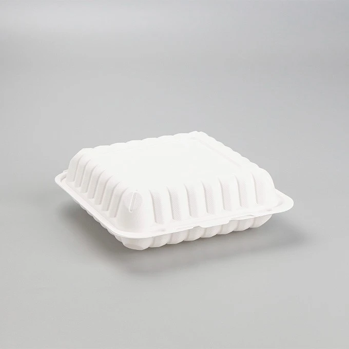 Plastic Lunch Box