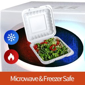 Boîtes à lunch écologiques jetables