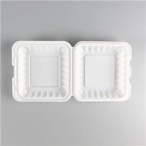 Boîte à lunch en plastique