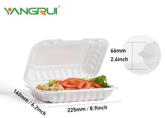 Récipient de restes blancs de 9x6 pouces