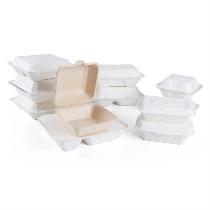 Boîte à lunch compostable