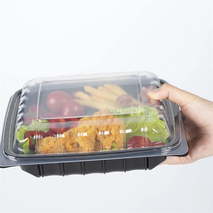 Conteneurs d'emballage alimentaire jetables