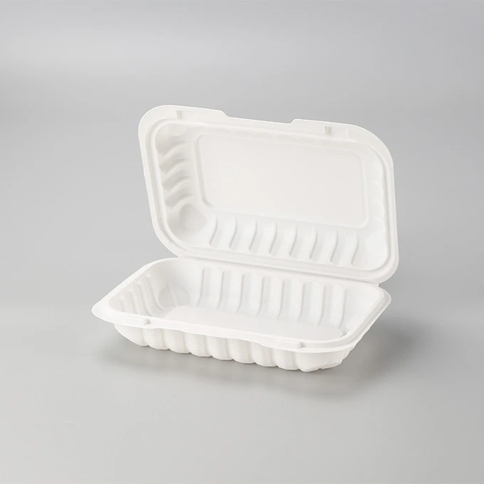 Boîte à lunch en plastique jetable