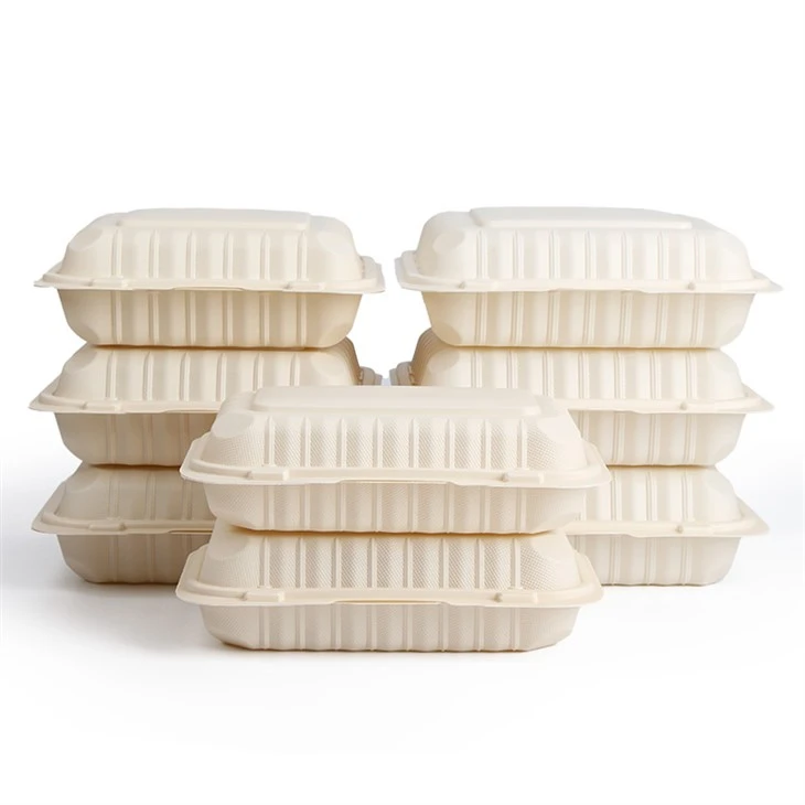 Conteneurs à emporter en plastique à charnière