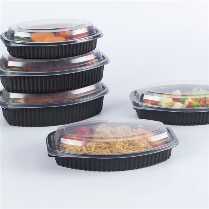 Les plus récentes boîtes à lunch Bento jetables