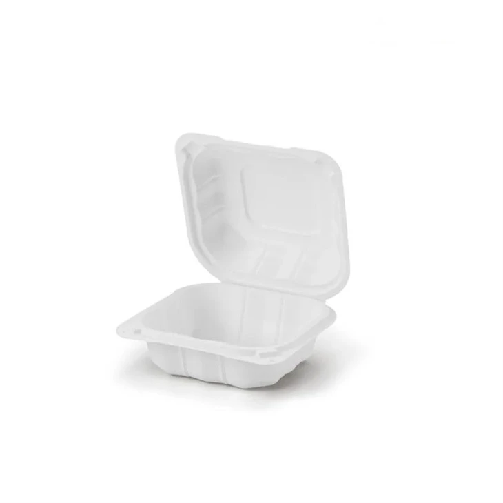 Conteneurs jetables en plastique pour aliments