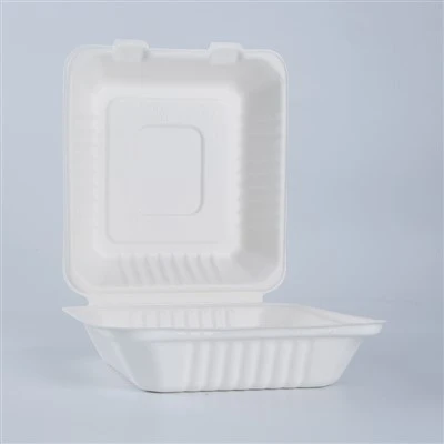 Boîtes à lunch biodégradables jetables