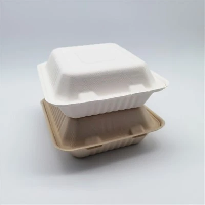 Conteneur à emporter biodégradable de papier de pulpe de fibre de bagasse de canne à sucre