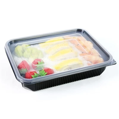 Repas écologiques à emporter : solutions de boîtes à lunch jetables pour un style de vie moderne