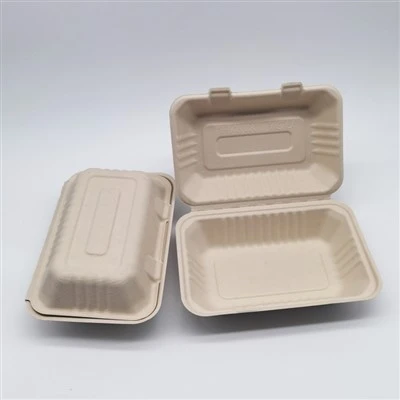 Conteneurs alimentaires à emporter biodégradables en bagasse de canne à sucre