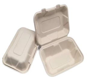 Conteneurs à emporter Bagasse jetable