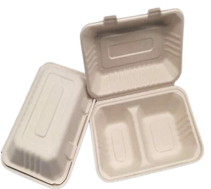 Conteneurs To Go Avec Couvercles Bagasse 2 Compartiments