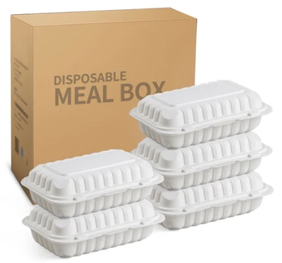 Solutions durables : découvrez les contenants en papier et réutilisables Togo...