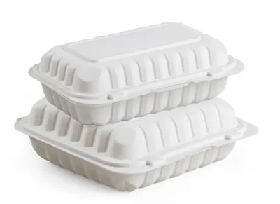 9x6 Inches Microwaveable Food Container 9x6 Inches Microwaveable Food Container