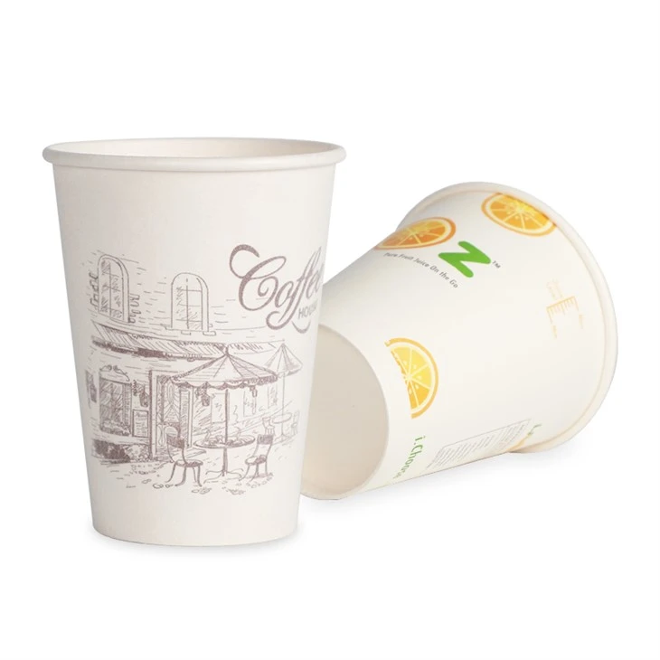 Tasses chaudes en papier compostable