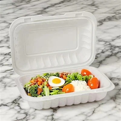 Comment choisir le bon plastique à - go Container pour votre restaurant?