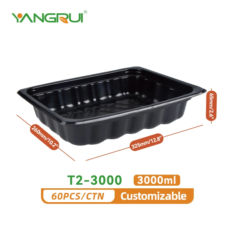 T2-3000 T2-3000
