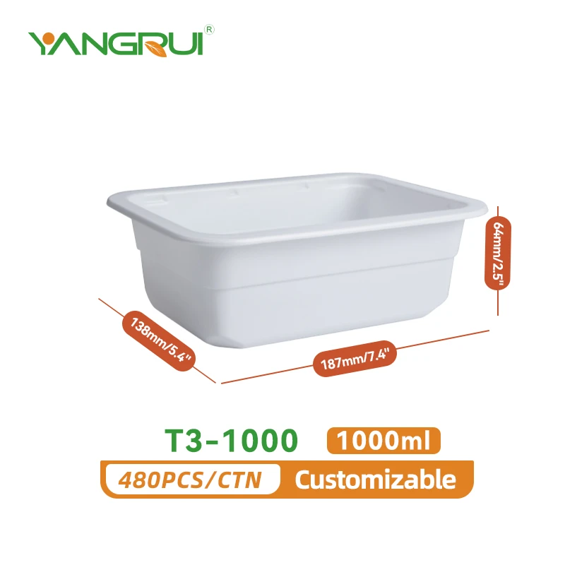 T3-1000