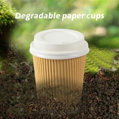 14 Oz Single Wall Paper Cup