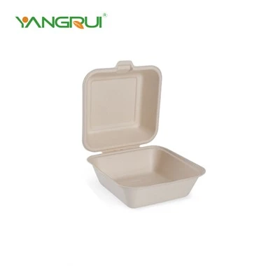 Eco Friendly Takeout Container