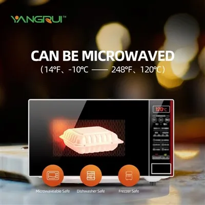 Take-out Chinese Containers