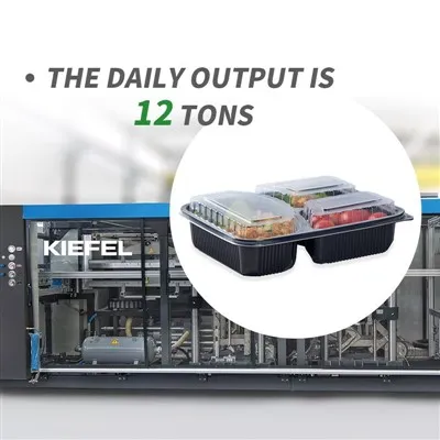 To Go Boxes With Compartments